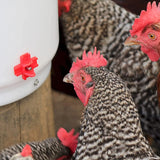 Farm Innovators Four Pack Side-Mount Nipples