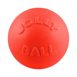 Jolly Pets Bounce-N-Play Dog Toy