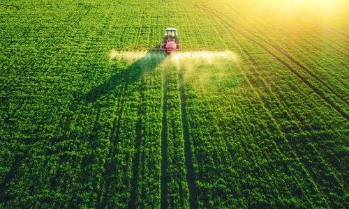 A tractor sprays crops in a vast, vivid green field under bright sunlight, casting a long shadow. The scene conveys productivity and tranquility.