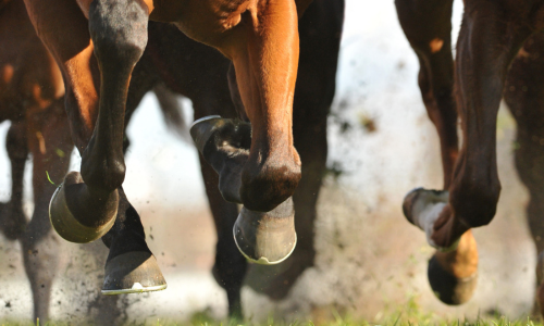 Close-up of galloping horses’ legs and hooves kicking up dirt and grass, conveying speed and motion, in a dynamic, energetic atmosphere.