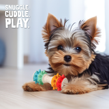 Snugarooz Shake It Off Nylon Noisy Bone Dog Toy