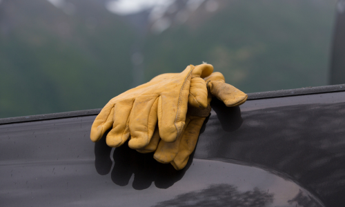 Yellow work gloves rest on a car window against a blurred outdoor backdrop, suggesting a pause from labor. The mood is calm and reflective.