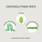Garden Safe Houseplant & Garden Insect Killer (Ready-to-Use)