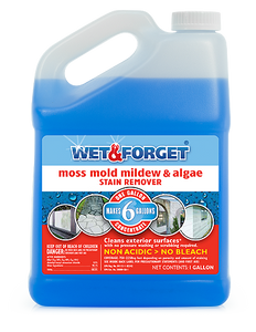 Wet & Forget Outdoor Cleaner Concentrate Moss, Mold, Mildew & Algae Stain Remover