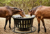 Tarter Equine Hay Basket