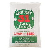 Kentucky 31 Tall Fescue