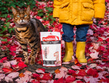 PureBites Freeze Dried Chicken Breast Cat Treats