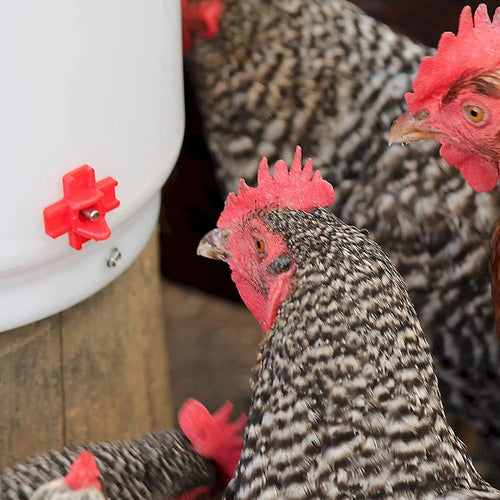 Farm Innovators Four Pack Side-Mount Nipples