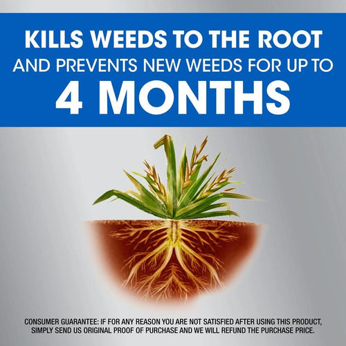 Roundup® Dual Action Weed & Grass Killer Plus 4 Month Preventer with Sure Shot® Wand