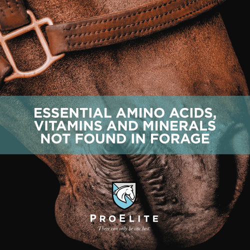 ProElite® Elements
