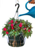 Plastec Hanging Saucer