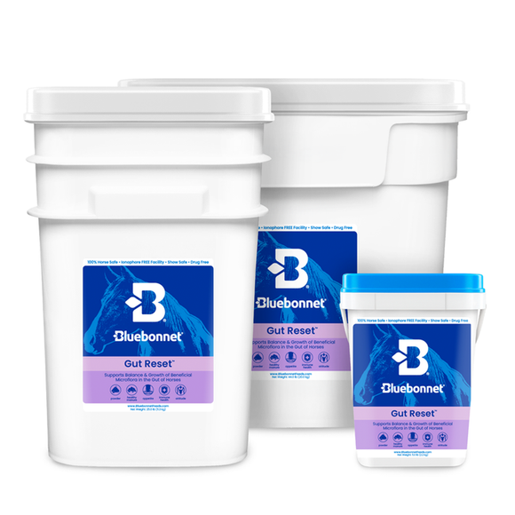 Bluebonnet Gut Reset™ Powder (ADR) Digestive Horse Supplement
