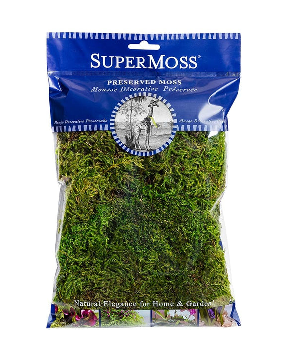 Super Moss Forest Moss Preserved