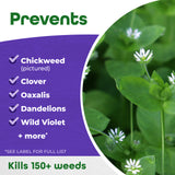 Bonide Chickweed, Clover & Oxalis Killer Concentrate