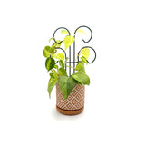 Bosmere Houseplant Trellis- 24" Scroll Pot Trellis