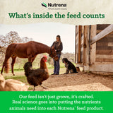 Nutrena® NatureWise® All Flock 20% Protein Pellet