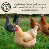 Nutrena® NatureWise® All Flock 20% Protein Pellet