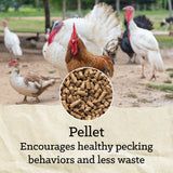 Nutrena® NatureWise® All Flock 20% Protein Pellet