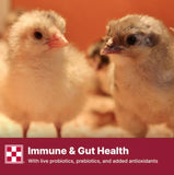 Purina® Start & Grow® Medicated Chick Feed