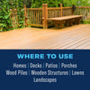 BioAdvanced Carpenter Ant & Termite Killer Plus Ready-To-Use
