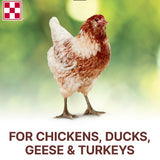 Purina® Scratch Grains