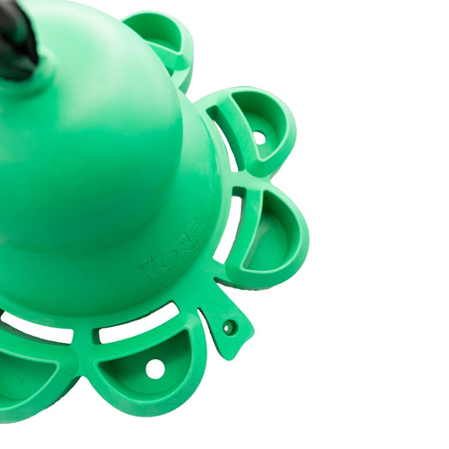 PetKORE Clover Horse Toy