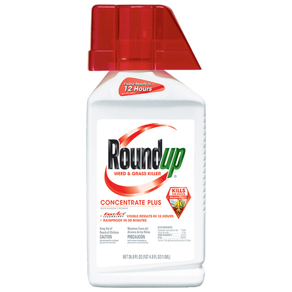 ROUNDUP WEED AND GRASS KILLER CONCENTRATE PLUS