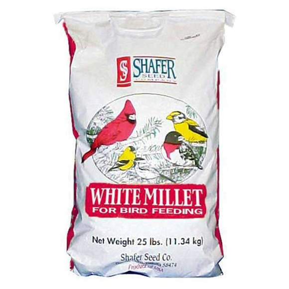 SHAFER WHITE MILLET BIRD SEED