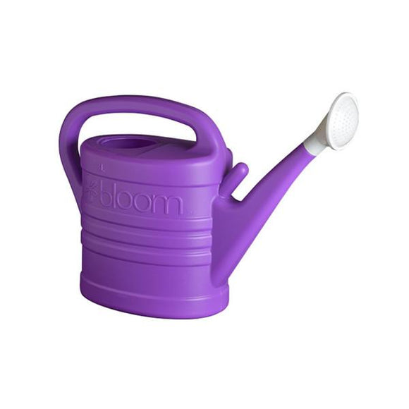 BLOOM 2 GALLON WATERING CAN