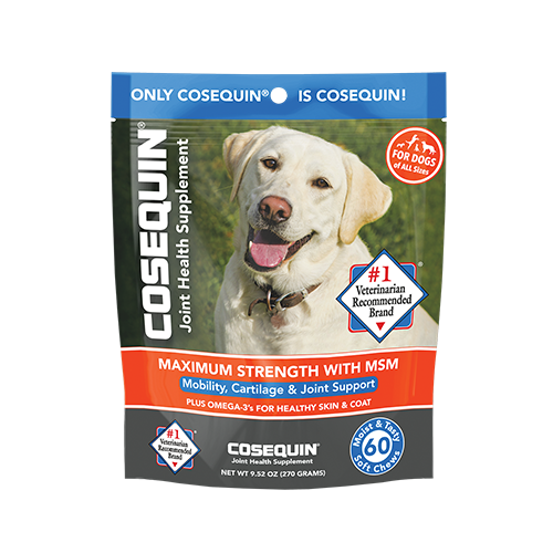 COSEQUIN® Maximum Strength with MSM Plus Omega-3’s Soft Chew