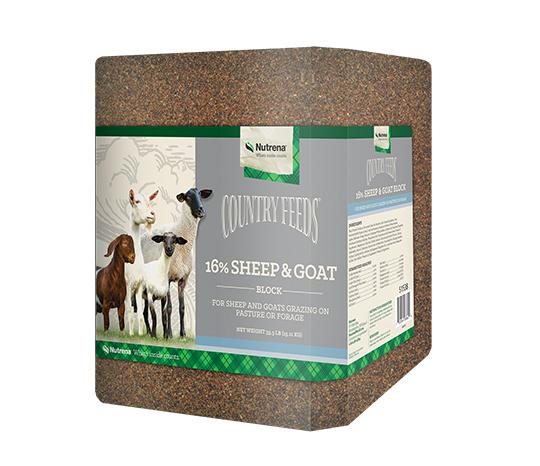 COUNTRY FEEDS 16% SHEEP & GOAT BLOCK