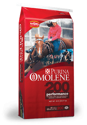 Purina horse feed discount