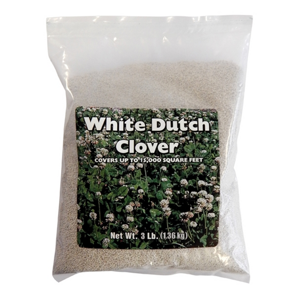 SOUTHERN STATES WHITE CLOVER